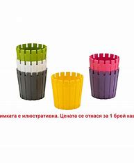 Empty Flowerpot Akasya Cactus 6 cm
